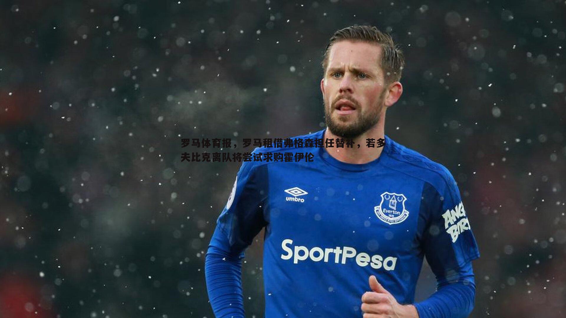 乐天堂fun92-罗马体育报，罗马租借弗格森担任替补，若多夫比克离队将尝试求购霍伊伦